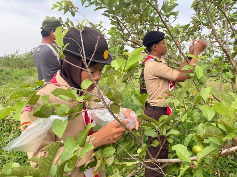 WhatsApp Image 2025-08-22 at 17.04.29