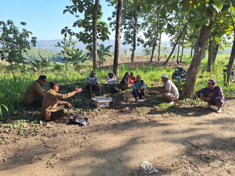 WhatsApp Image 2025-08-26 at 08.50.20