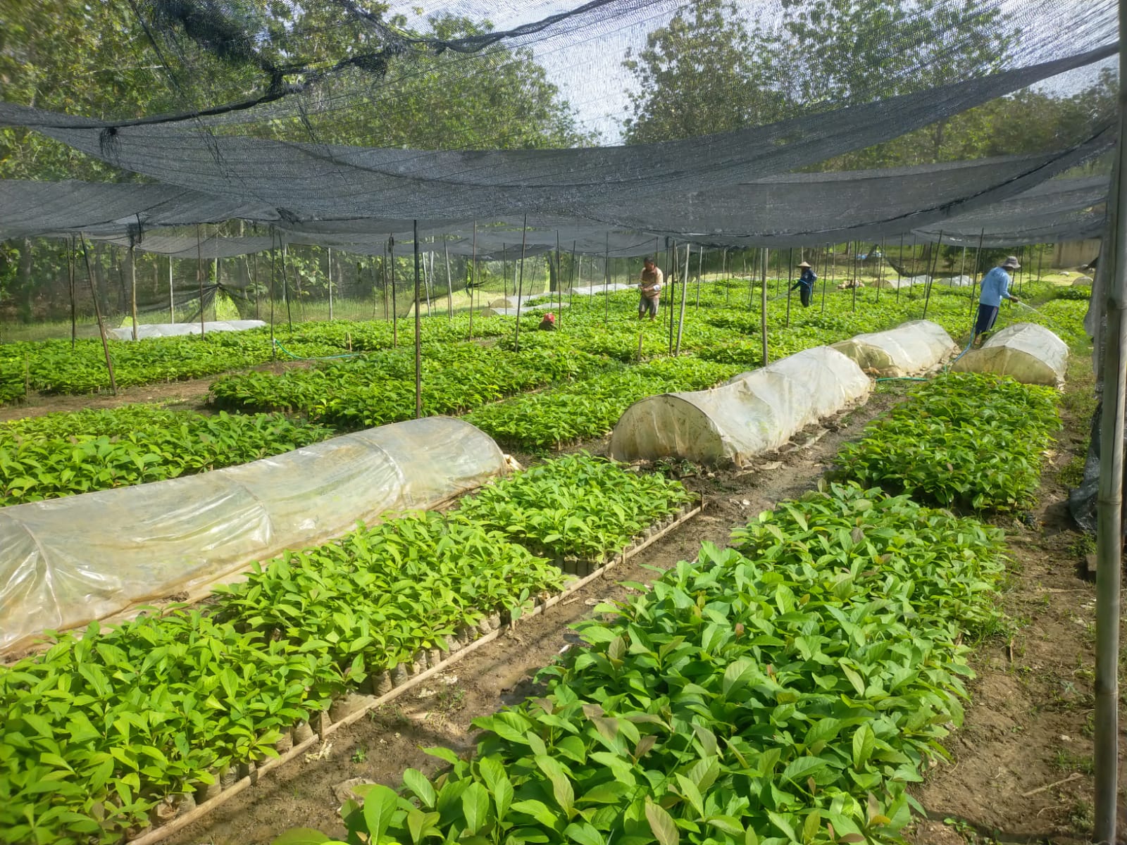 WhatsApp-Image-2025-09-13-at-18.15.57-2