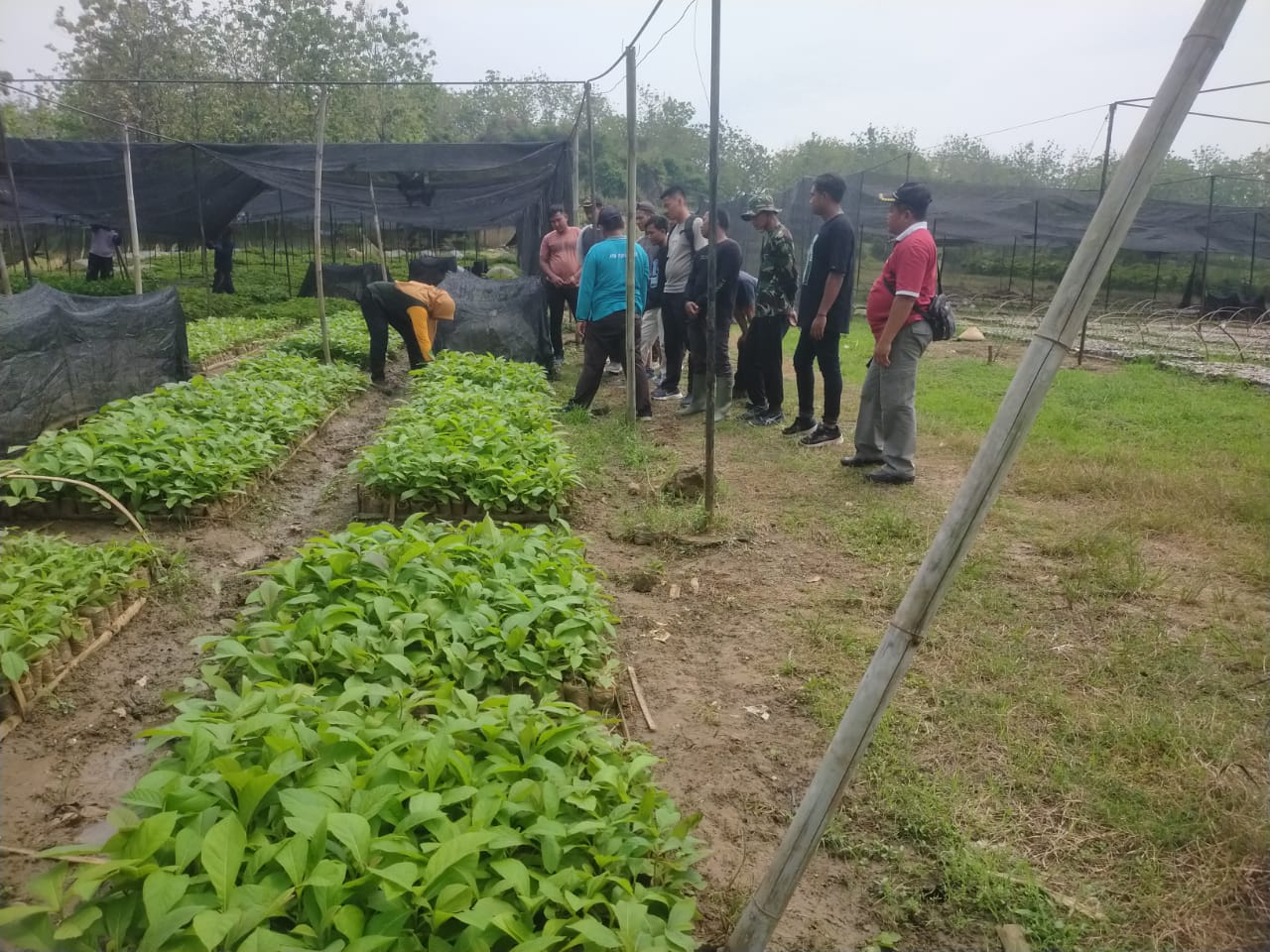 WhatsApp-Image-2025-09-17-at-14.15.08_83733dfe