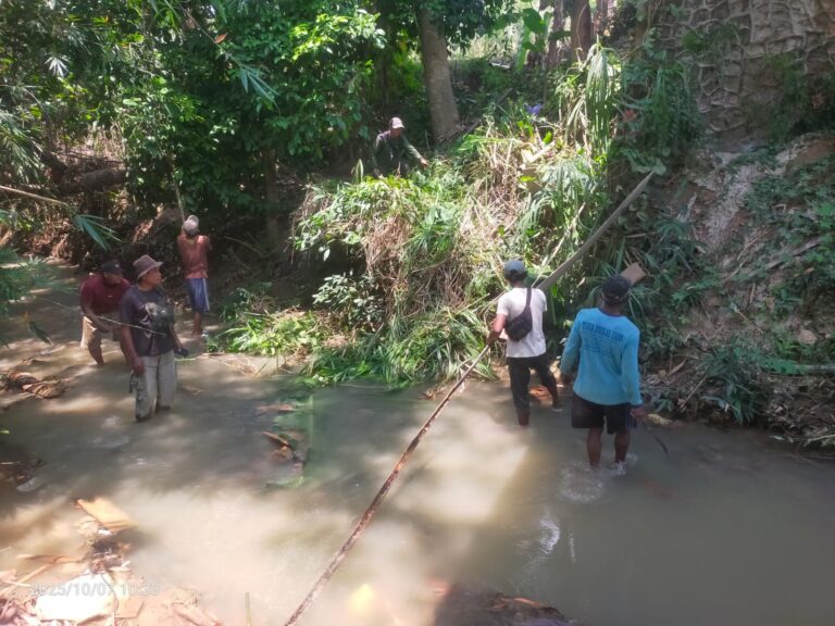 WhatsApp-Image-2025-10-07-at-11.41.11