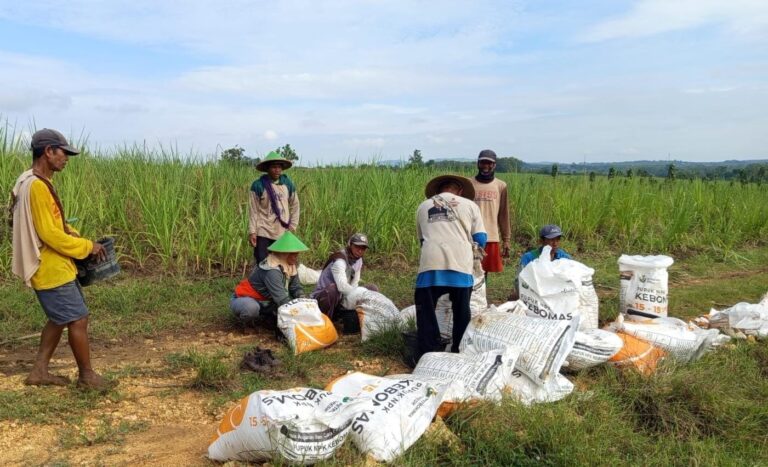 WhatsApp-Image-2025-10-23-at-08.21.44