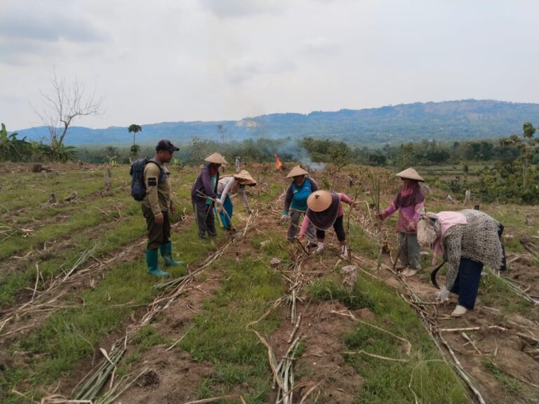 WhatsApp-Image-2025-10-27-at-12.59.44