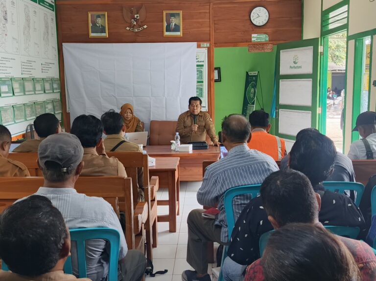 WhatsApp-Image-2026-01-27-at-11.41.20